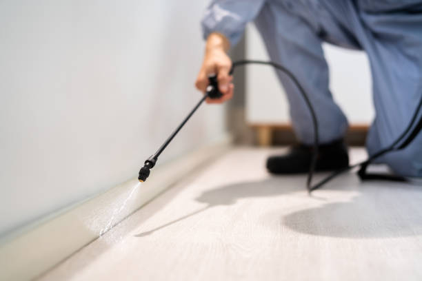 Licensed Mosquito Control service in Nicoma Park, OK - Show Me Pest Control