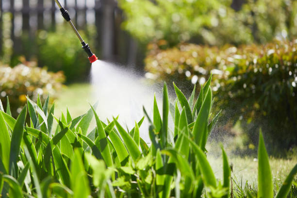 24/7 Emergency Mosquito Control experts in Nicoma Park, OK