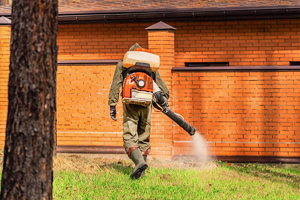 Top rated local Mosquito Control specialists in Nicoma Park, OK